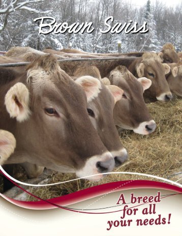 A little history - Canadian Brown Swiss & Braunvieh Association