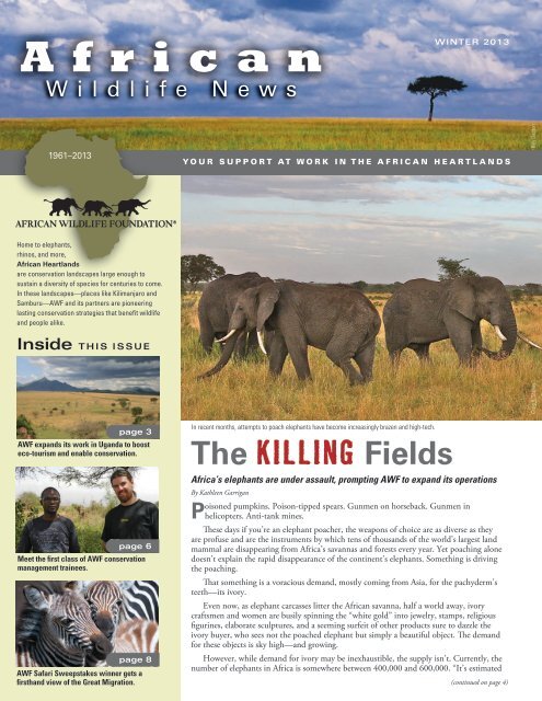 The Killing Fields - African Wildlife