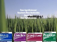 Dow AgroSciences' S th Ri H bi id Southern Rice Herbicides David ...