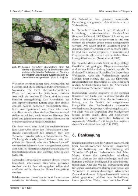 Die Totholzkäfer (Coleoptera) des "Schnellert" bei Berdorf ...