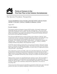 Points of Concern in the Five-Year Plan to End Veteran Homelessness