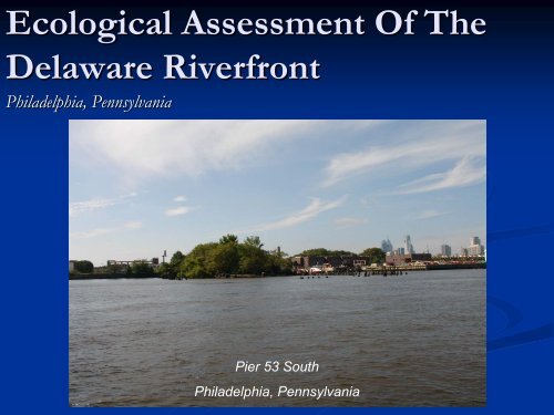 Ecological Assessment Of The Delaware Riverfront