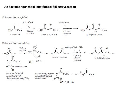 észterkondenzáció - Szerves Kémiai Tanszék