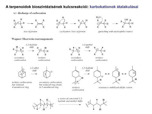észterkondenzáció - Szerves Kémiai Tanszék