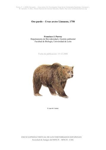 Ursus arctos Linnaeus, 1758 - Enciclopedia Virtual de los ...