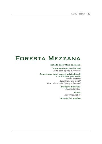 La foresta Mezzana - Regione Campania