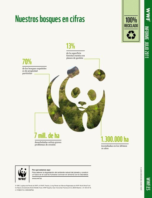 Los bosques que nos quedan y propuestas de WWF para su ...