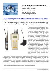 H 2 Measuring Instrument with Amperometric Micro-sensor - AMT ...