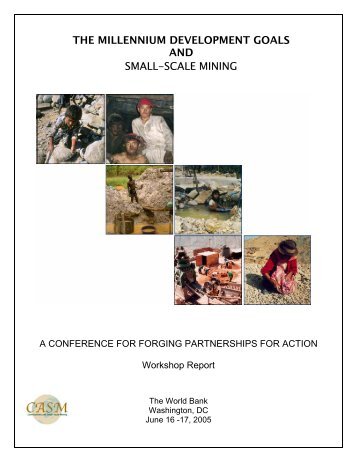 the millennium development goals and small-scale mining - FESS ...