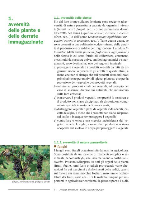 Manuale dei Prodotti Fitosanitari - Rischi e corretto impiego