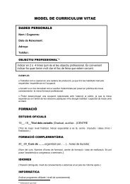 MODEL DE CURRICULUM VITAE