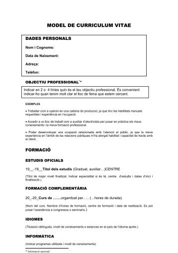 MODEL DE CURRICULUM VITAE