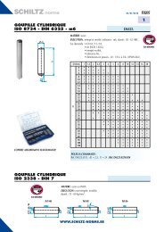 goupille - Schiltz-norms