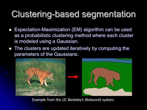 segmentation