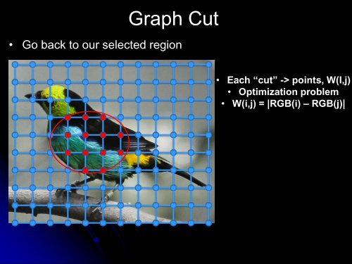 segmentation