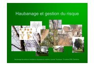 Haubanage et gestion du risque