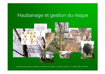 Haubanage et gestion du risque