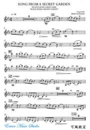 Song from A Secret Garden Violin.pdf