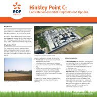 PPS_SW_XXXX_EDF_HINK_POINT_BDS_12 ... - EDF Hinkley Point