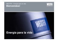 Westfa GMBH