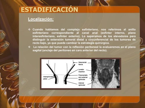 Valor de la resonancia magnética en la estadificación local ...