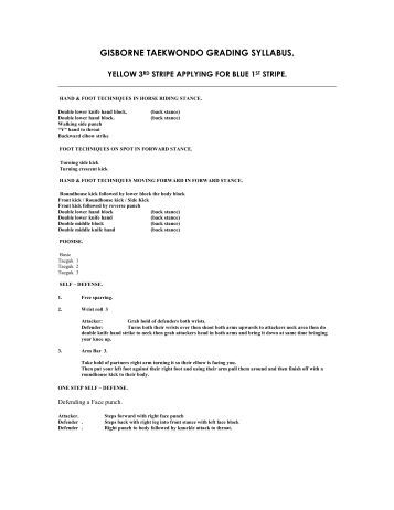 taekwondo essay