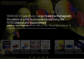 SEMCAD X Case Study: Large-Scale Electromagnetic Simulation of ...