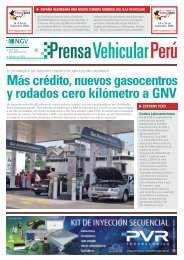 MÃ¡s crÃ©dito, nuevos gasocentros y rodados cero kilÃ³metro a GNV