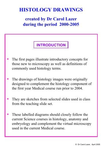 Histology Drawings - School of Medical Sciences