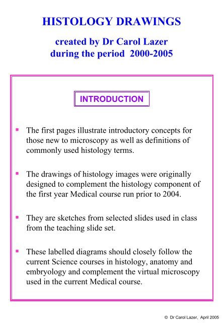 Histology Drawings - School of Medical Sciences