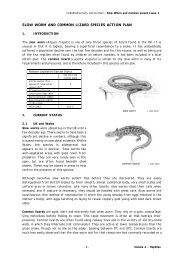 SLOW WORM AND COMMON LIZARD SPECIES ACTION PLAN