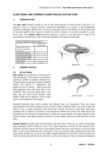 SLOW WORM AND COMMON LIZARD SPECIES ACTION PLAN