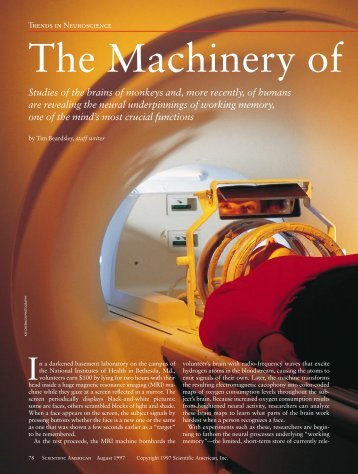 The Machinery of Thought