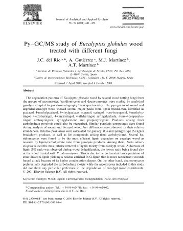 Py–GC/MS study of Eucalyptus globulus wood treated - Instituto de ...