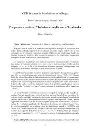 Turbulence couplée avec effets d'ondes - GDR-Turbulence