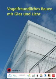 Vogelfreundliches Bauen mit Glas und Licht