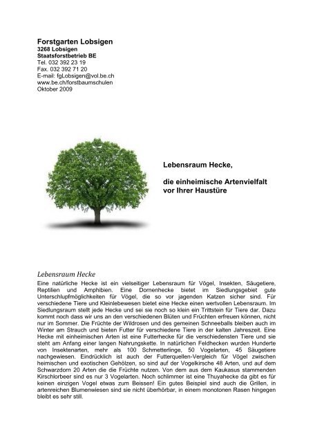 Heckensortimente der Forstbaumschule Lobsigen ...