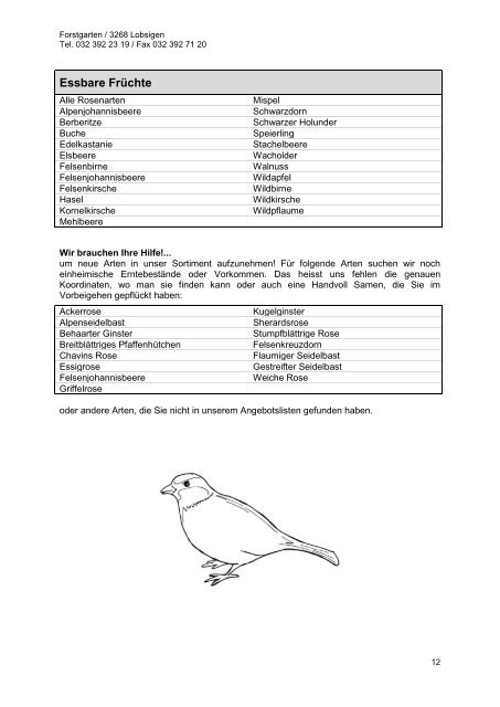 Heckensortimente der Forstbaumschule Lobsigen ...