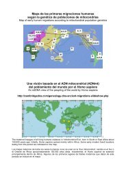 Mapa de las primeras migraciones humanas segÃºn la genÃ©tica de ...