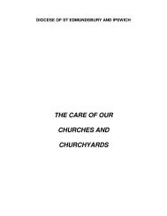 the care of our churches and churchyards - The Diocese of St ...