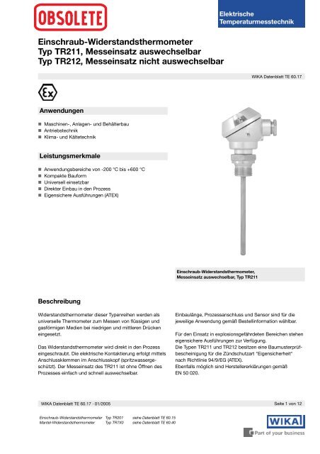 Einschraub-Widerstandsthermometer Typ TR211, Messeinsatz ...