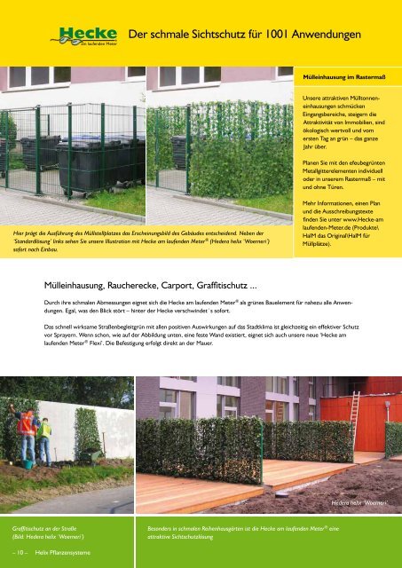 Katalog 'Grüne Fertiglösungen' - Bodendecker am laufenden Meter