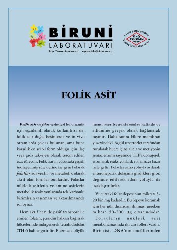 Folik Asit