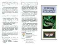 CUTWORM - Darfu4b.da.gov.ph - Department of Agriculture