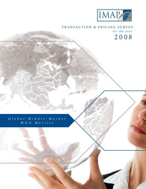 IMAP Transaction & Pricing survey 2008.pdf