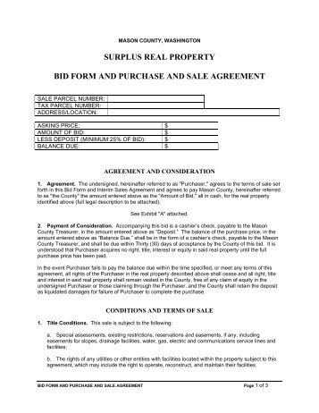 SURPLUS REAL PROPERTY BID FORM AND ... - Mason County