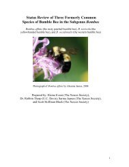 Status Review of Three Formerly Common Species of Bumble Bee ...