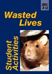 Download Wasted Lives Student Activities booklet - Animal Aid