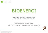 Niclas S. Bentsen, KU-LIFE - Danmarks Landboungdom
