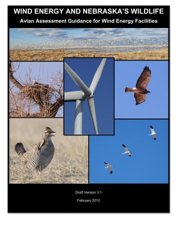 Avian Assessment Guidance for Wind Energy Facilities in Nebraska